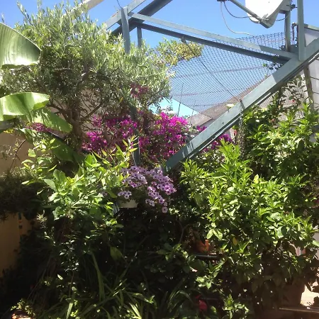 Studio Du Lac Cannes